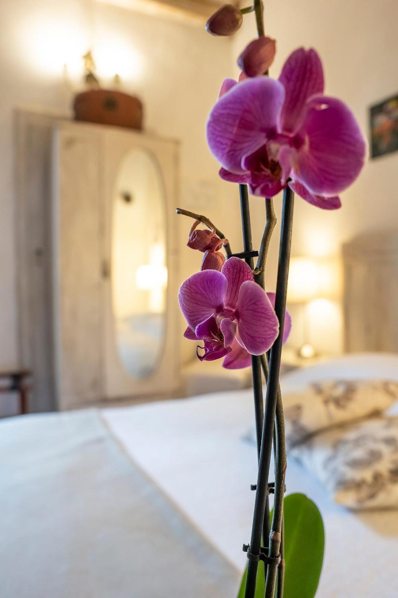 Le Terrazze Del Chianti B&B Residenza D'Epoca E Di Charme San Donato in Poggio Eksteriør bilde